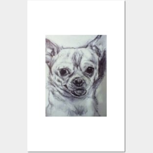 Doggy Posters and Art